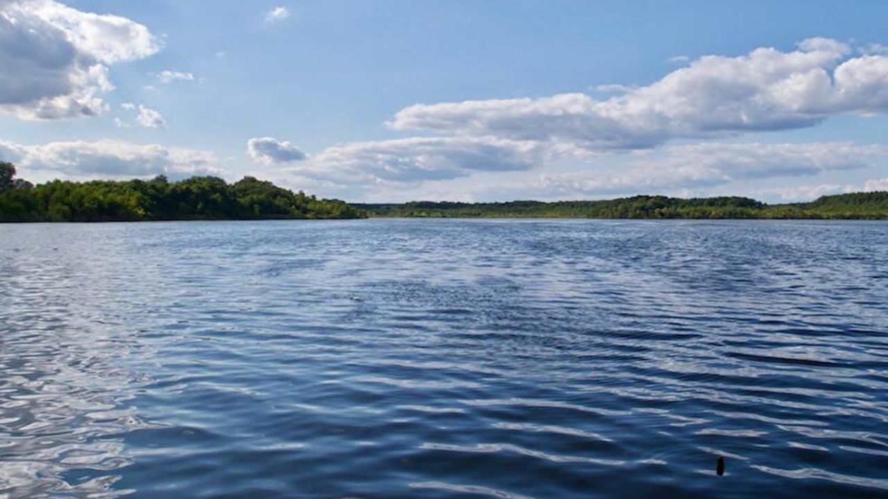 AreaSummer5KM AreaSummer5KM